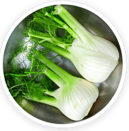 fennel